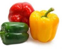 https://ar.tradekey.com/product_view/Bell-Pepper-sweet-Pepper-fresh-Cherry-Pepper-9629419.html