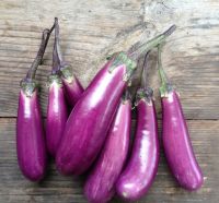 https://fr.tradekey.com/product_view/Fresh-Eggplant-9629369.html