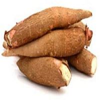 Fresh Cassava Tubers