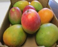Fresh African Mangoes