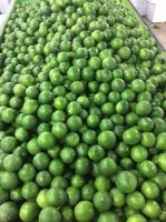 Fresh Seedless Limes