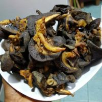 African Giant Snails Meat