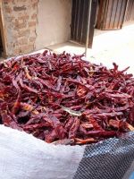 Dried Chilli pepper 