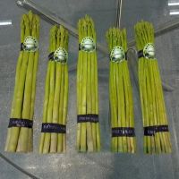 fresh Asparagus