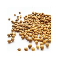 Top Quality Pure Coriander Seeds for Sales