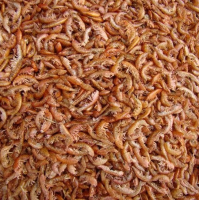 DRIED CRAYFISH