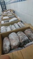 Hot Selling High Quality frozen octopus for sale from Morocco