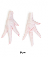 Chicken Feet & Paws