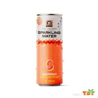 250ml TDT Grapefruit Sparkling Water