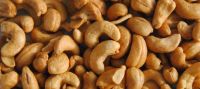 Cashew Nuts (Anacardium occidentale), Garlic (Allium sativum) , Honey , Bitter Kola (Garnicia Kola)  , Ginger ,