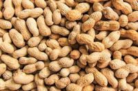 peanuts