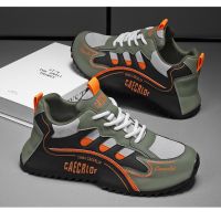 Men's casual all-match  light luxury closed-soled dad shoes sports trendy leather shoes