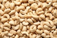 Cashew nut,