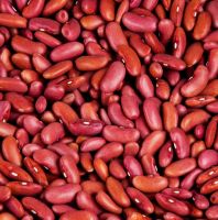 Red and white kidney beans.