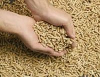 Birch Wood Pellets