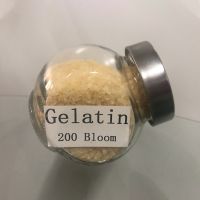 Food Grade Edible Fish Gelatin Powder Halal Certificated Gelatin