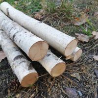 Birch Logs