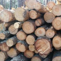 Wood Logs /Birch / Oak / Ash / Pine / Spruce Firewood