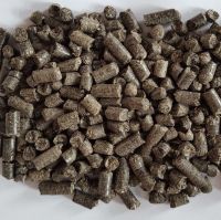 BEET PULP PELLETS