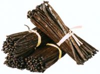 Vanilla Beans