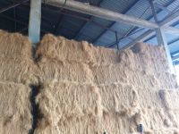 Coconut Fiber / Coir Fiber