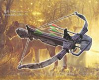 https://es.tradekey.com/product_view/Amazing-Crossbow-490710.html