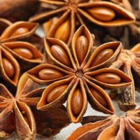 Vietnam Star Anise with High Quality and Competetive Price