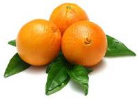 NAVEL-ORANGE 