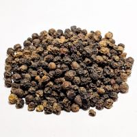 Black Pepper