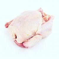 Frozen Chicken