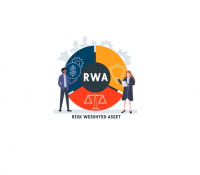 Risk weighted asset (RWA) | Centwin Pte Ltd