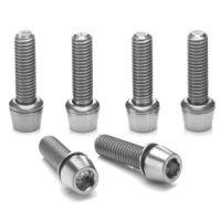 Titanium bolts