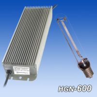 HPS electronic ballast(600W)