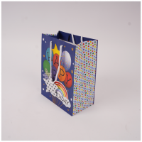 Paper Gift Bags with Custom Design for Retail Gift Stores