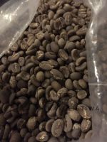 West Java Arabica Green Coffee Beans