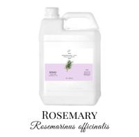 SESMU Rosemary Oil [Rosemarinus Officinalis] 100%
