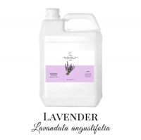 SESMU Lavender Oil [Lavandula Angustifolia] 100%