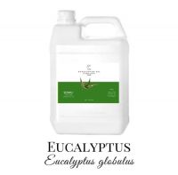 SESMU Eucalyptus Globulus Oil [Eucalyptus Globulus] 100%