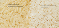 BASMATI RICE 