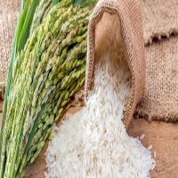 1121 White Sella Basmati Rice Exporters In THAILAND
