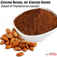 Cocoa Beans