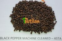 BEST PRICE FROM FACTORY FOR PURE QUALITY BLACK PEPPER 500GL 550GL 5MM (+84915211469)
