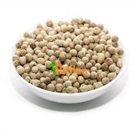 BEST PRICE FROM FACTORY FOR PURE QUALITY WHITE PEPPER DOUBLE WASHED (+84915211469)