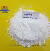 Slaked Lime Hydrated Lime Powder Ca(oh)2 High Purity Vietnam Origin