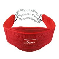 Pull Up Training Fitness Weight Lifting Dipping Belt With Chain