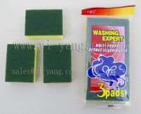 sponge scouring pad
