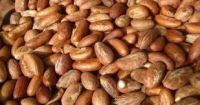 Cashew Nuts,Melon Seeds,Garlic,Dry plantain,Cocoa,Kola nut,Bitter Kola,Dry Yam,Textile,Rubber,Honey,Groundnut,Locust Beans,Palm kernel