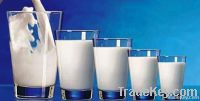 Urdan U404 Milk Powder