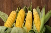 Yellow Corn