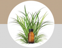 Vetiver Oil